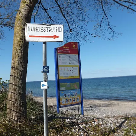 Ebsen Hh Rechts *