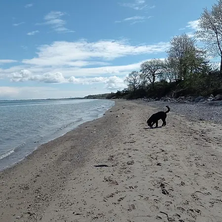 Апартаменты Ebsen Hh Rechts