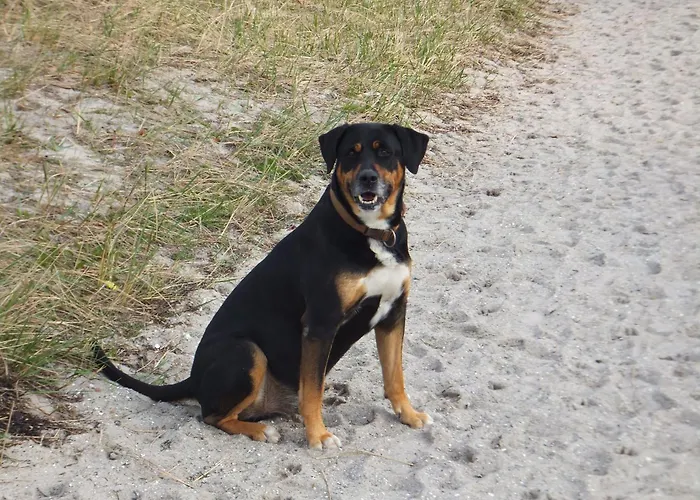 Apartamento Ebsen Hh Rechts *